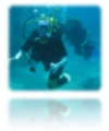 SCUBA Diving